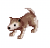 Baby Desert Wolf